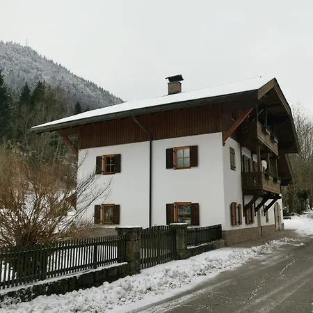 P.t. * Tarvisio